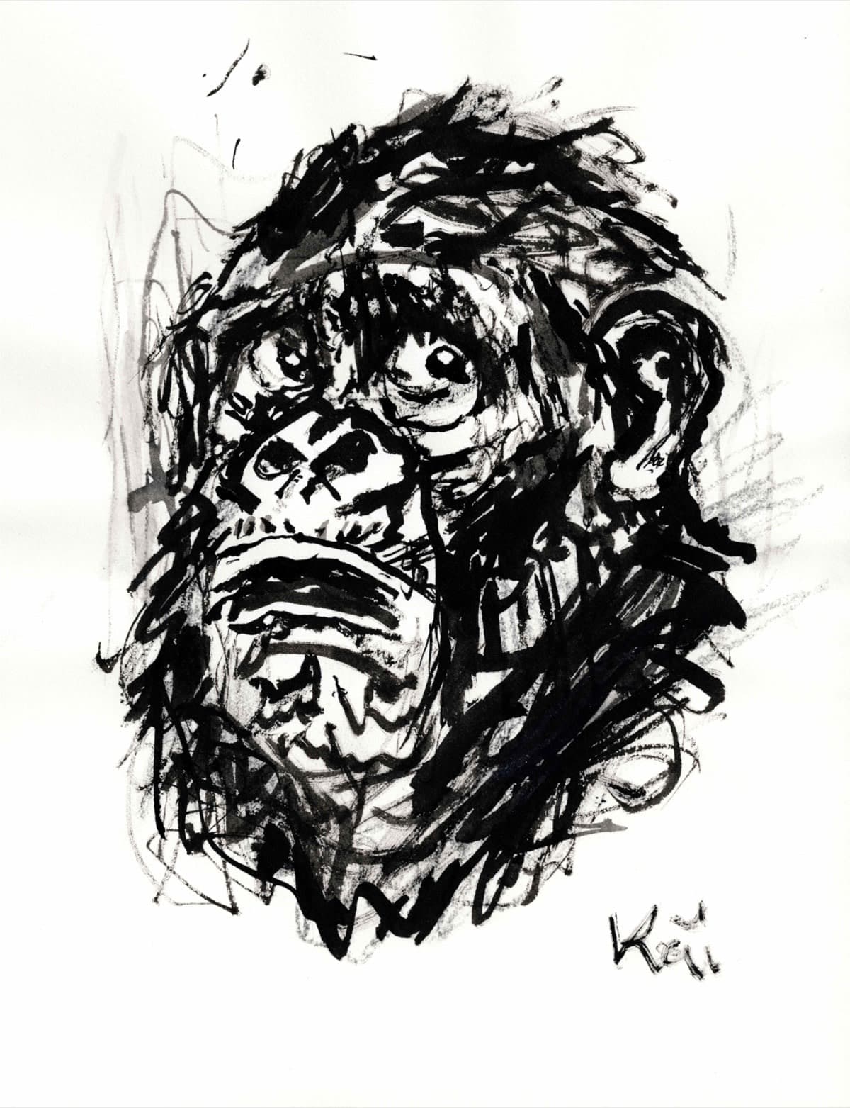 Singe 1
