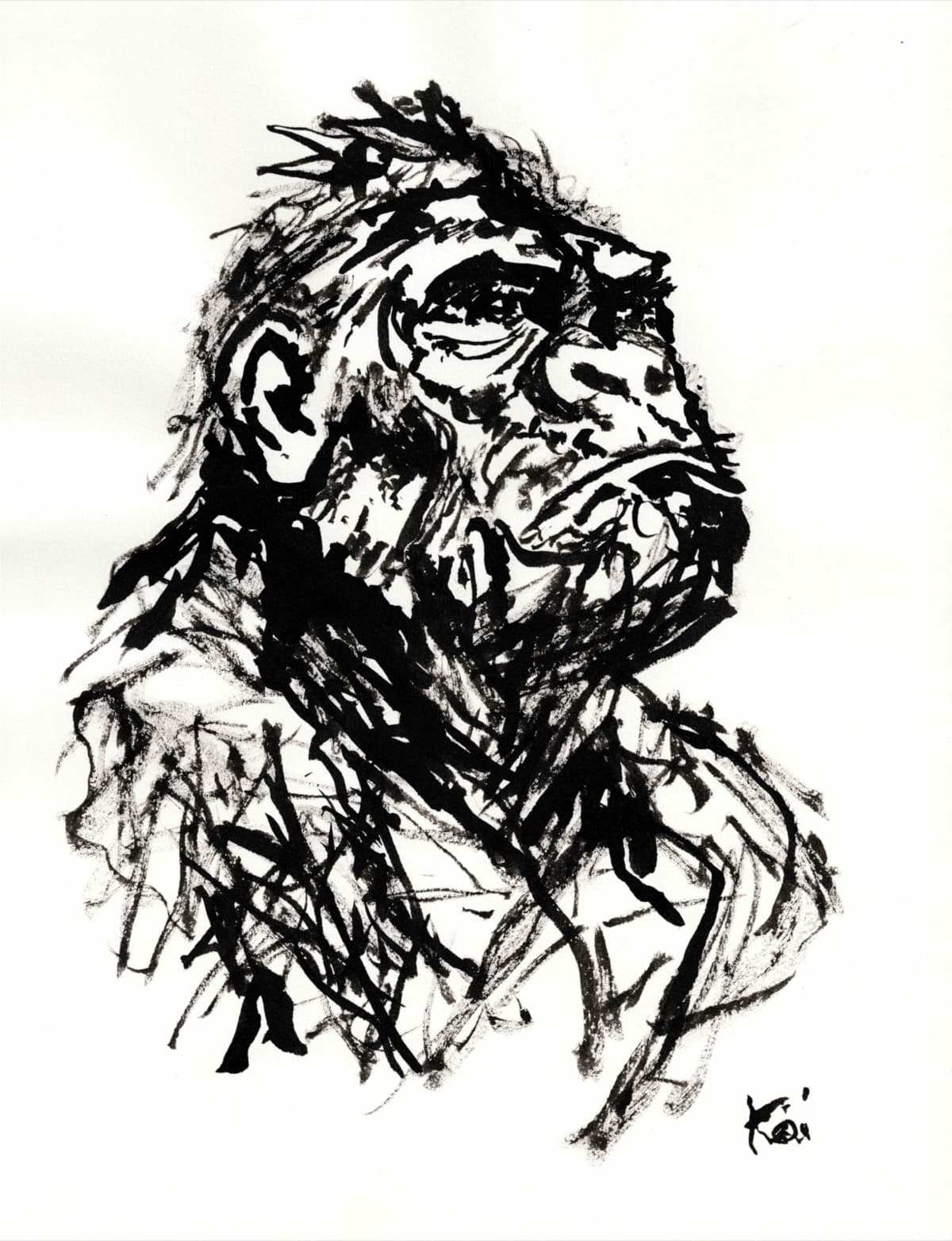 Singe 3