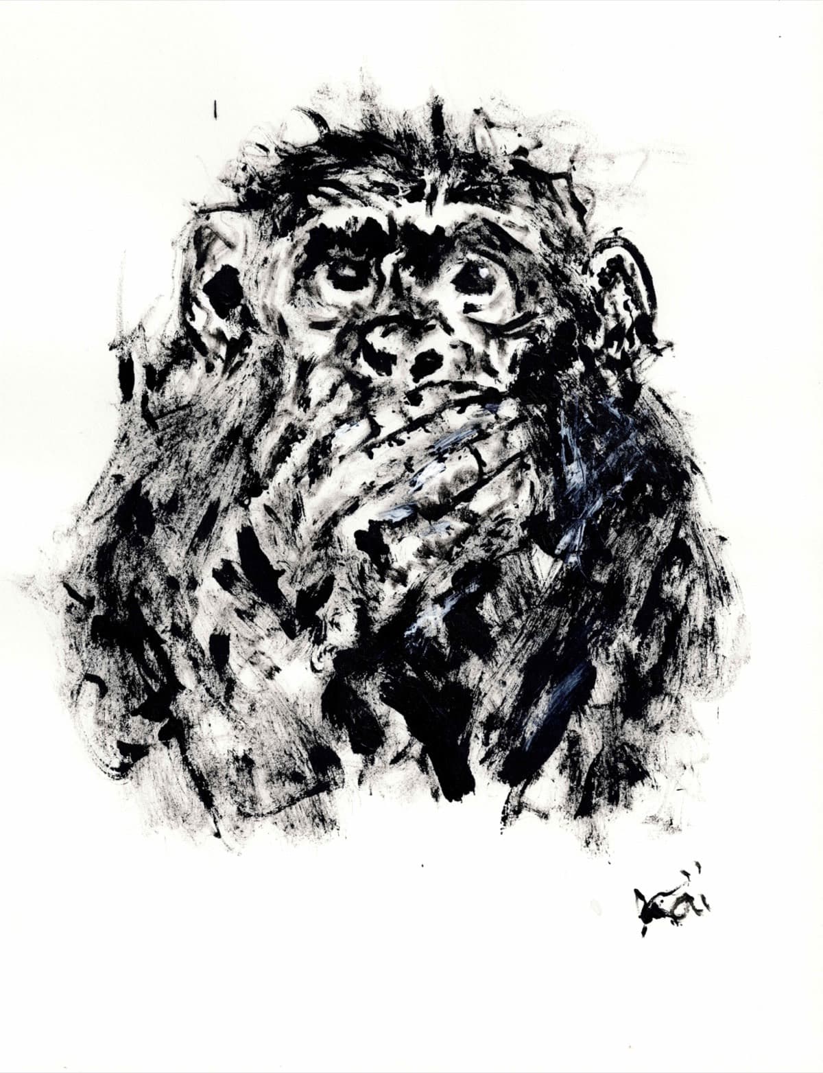 Singe 7
