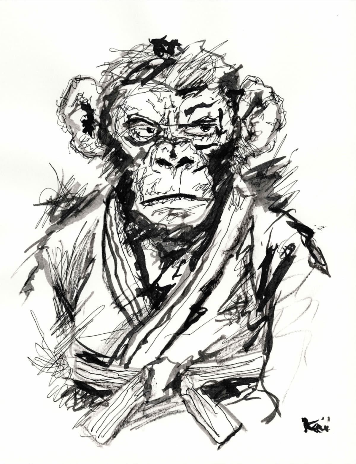 Singe 8
