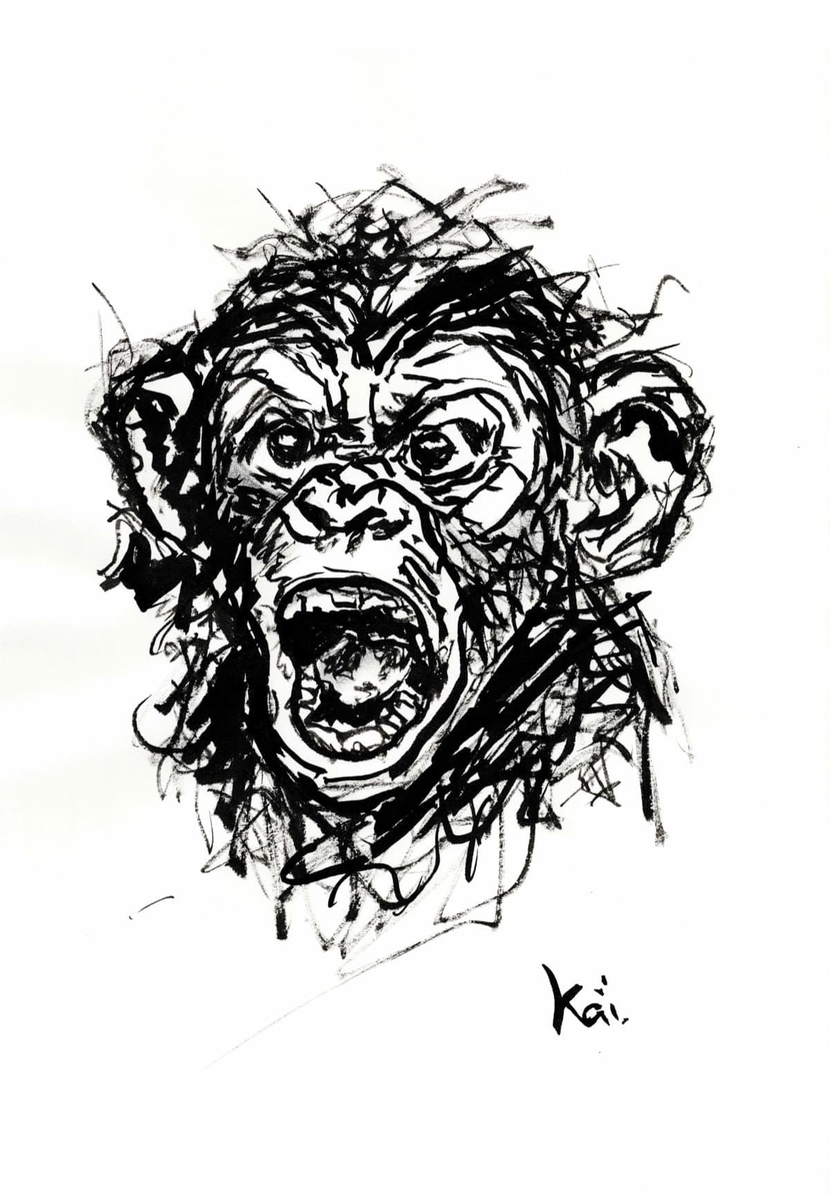 Singe 12