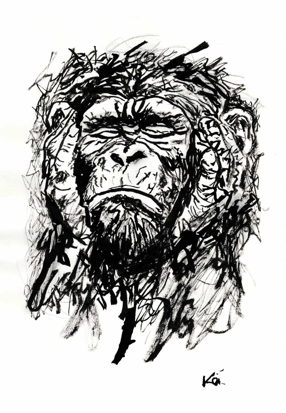 Singe 13