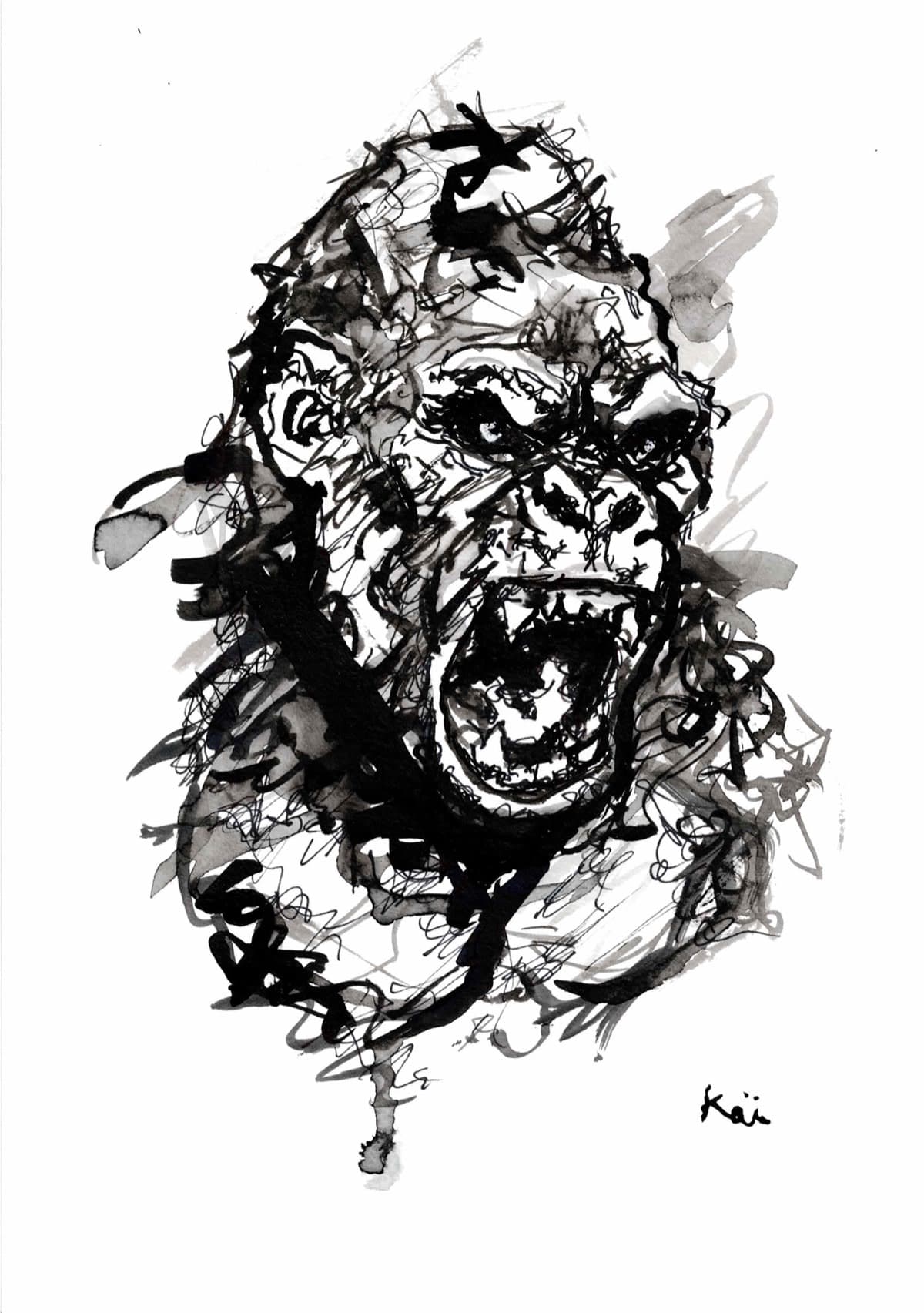 Singe 14