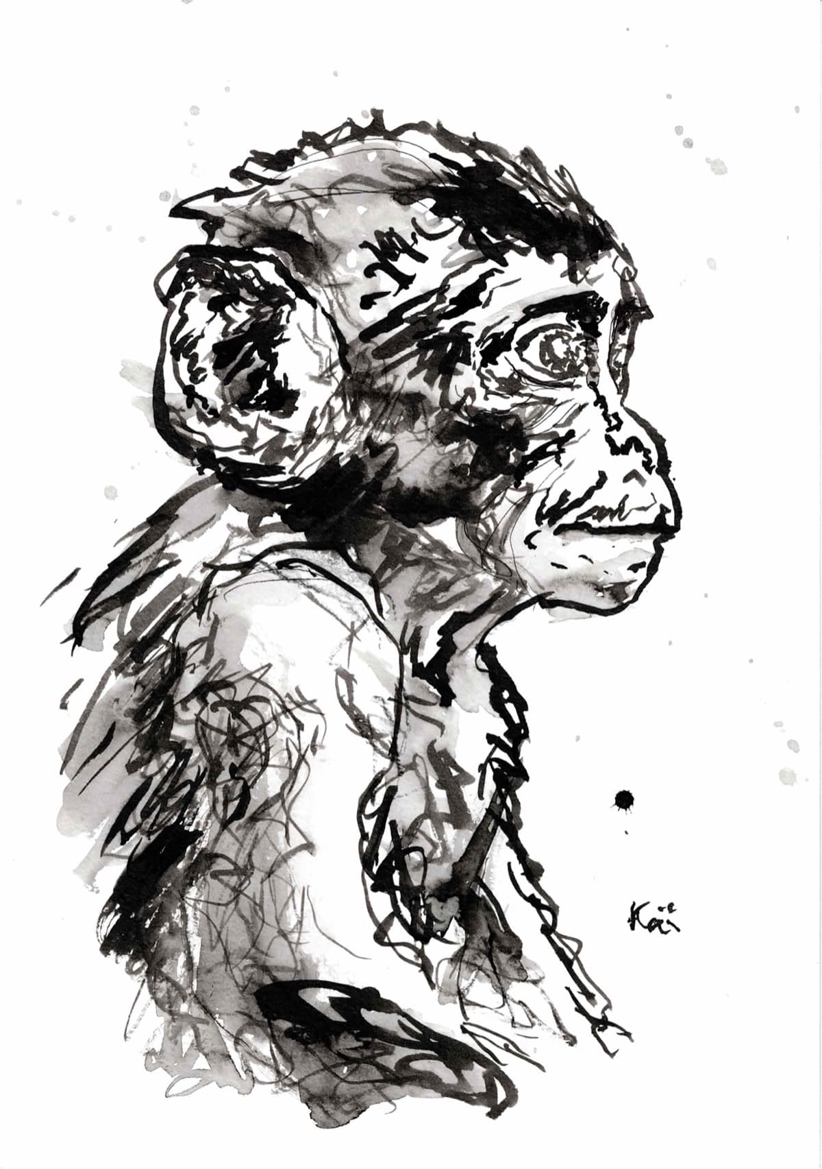Singe 16