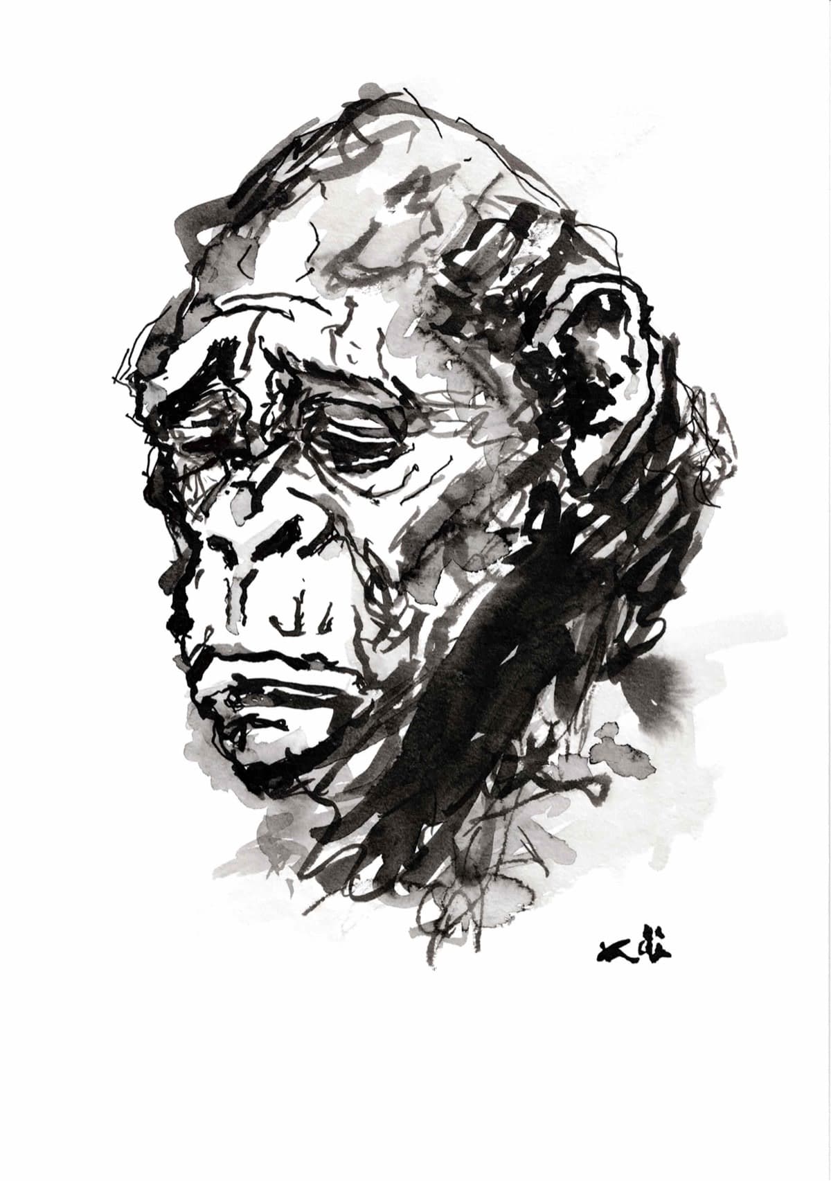 Singe 18