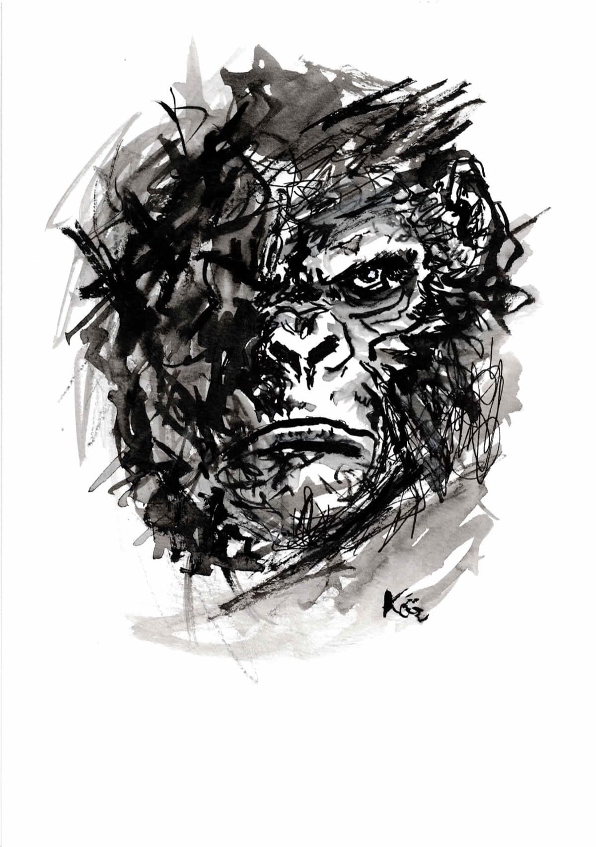 Singe 19