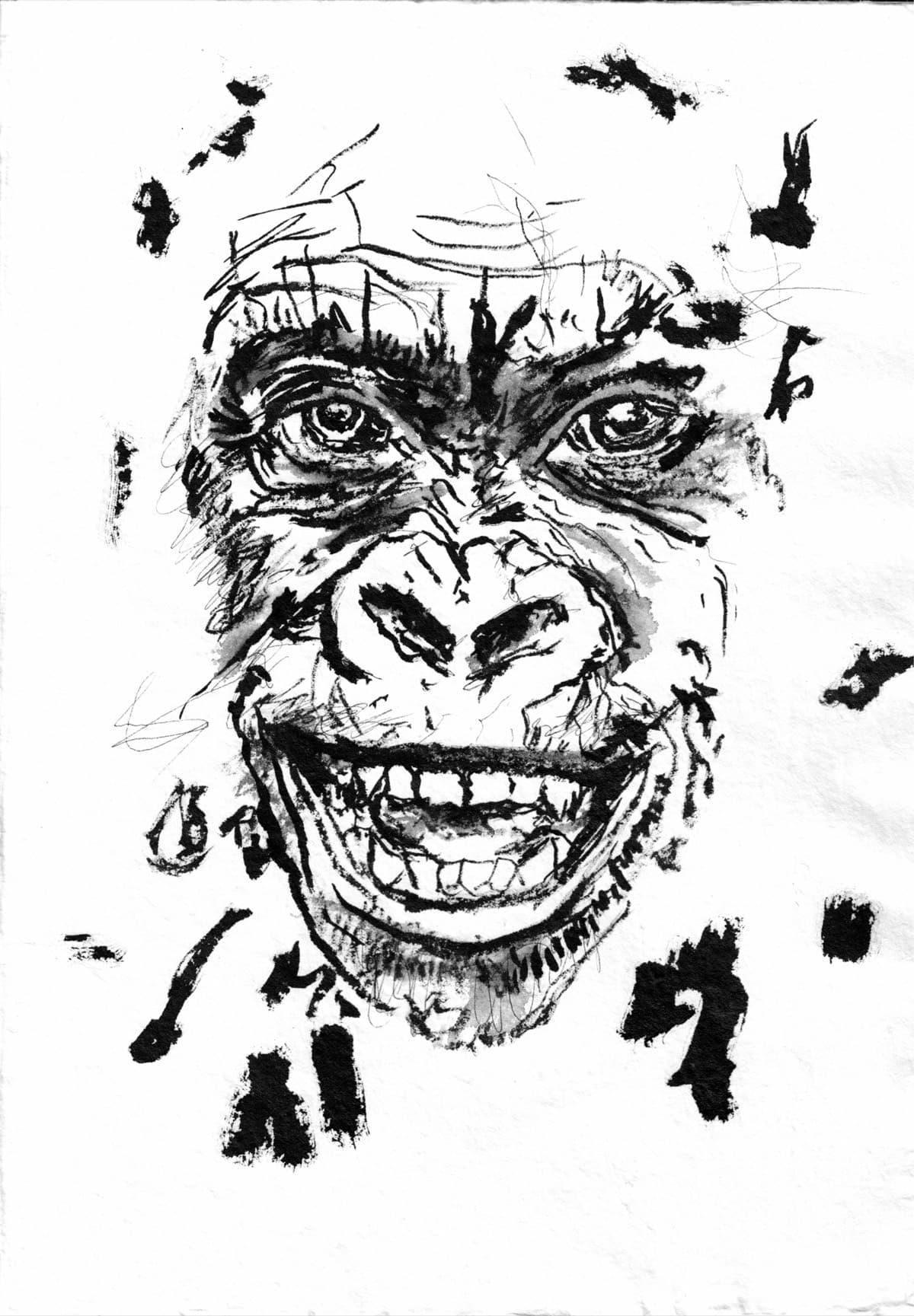 Singe 21